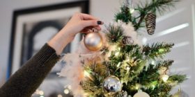 Jak udržet vánoční stromek čerstvý